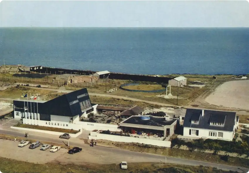 Le musée - aquarium